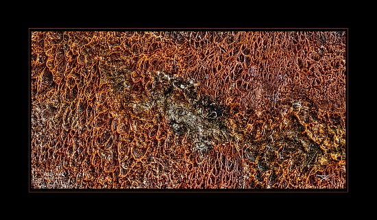 Fossil Map
